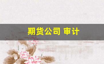 期货公司 审计(期货公司审计程序)_https://www.xzdzchf.com_深交所_第1张